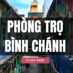 Thuê Căn hộ - Phòng trọ Bình Chánh